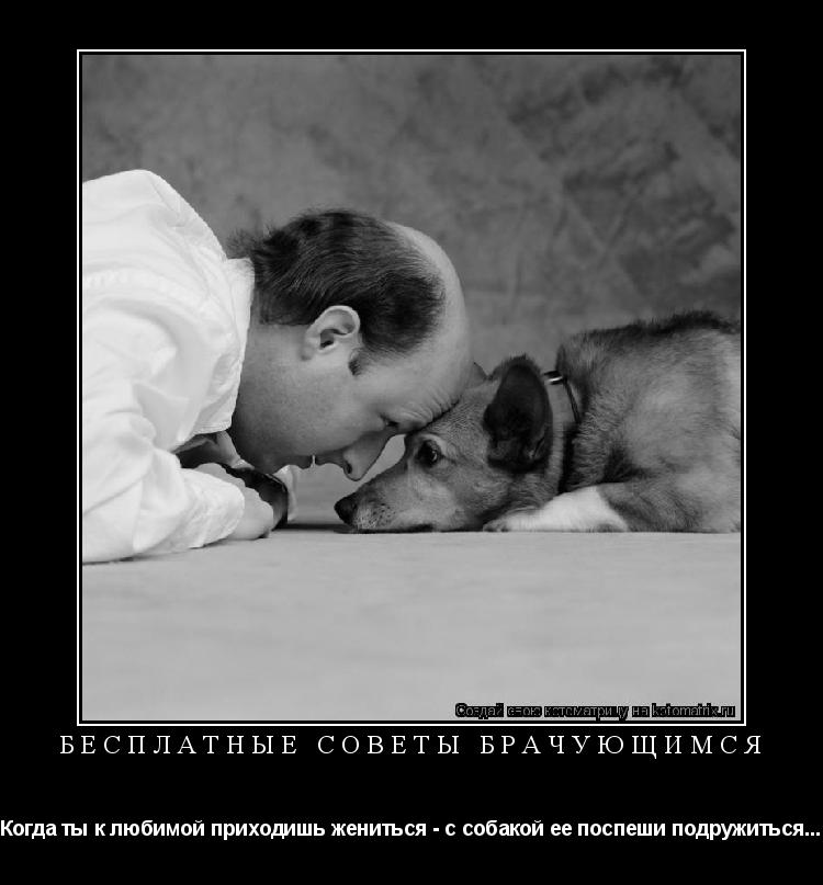 Котоматрица: БЕСПЛАТНЫЕ СОВЕТЫ БРАЧУЮЩИМСЯ Когда ты к любимой приходишь жениться - с собакой ее поспеши подружиться...