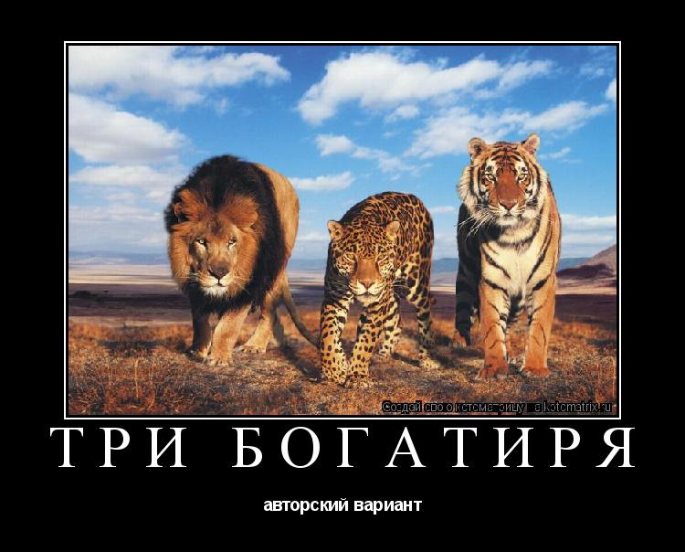 три богатиря авторский вариант... Котоматрица: три богатиря авторский вариант