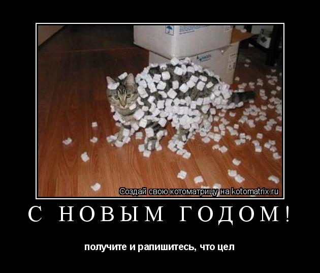 Котоматрица: С НОВЫМ ГОДОМ! получите и рапишитесь, что цел