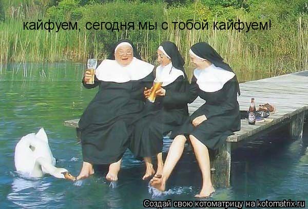 Котоматрица: кайфуем, сегодня мы с тобой кайфуем!