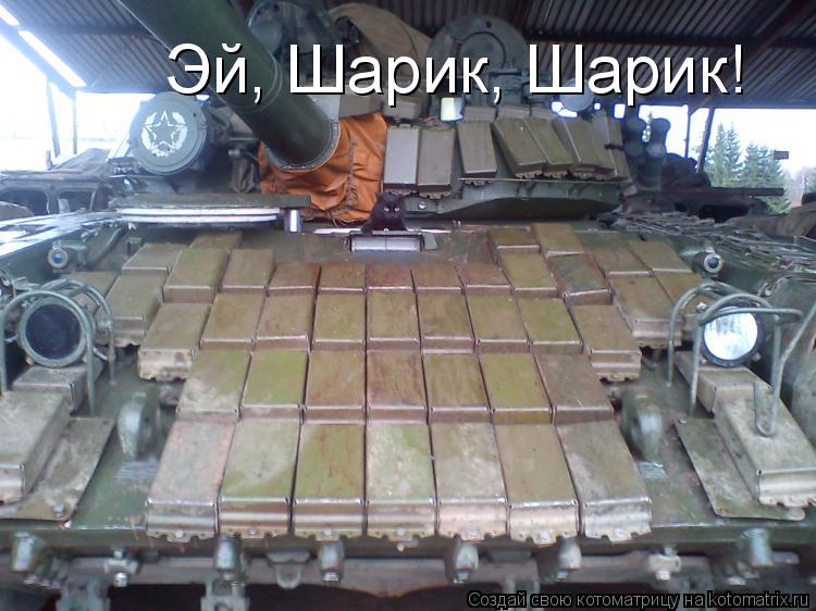 Котоматрица: Эй, Шарик, Шарик!