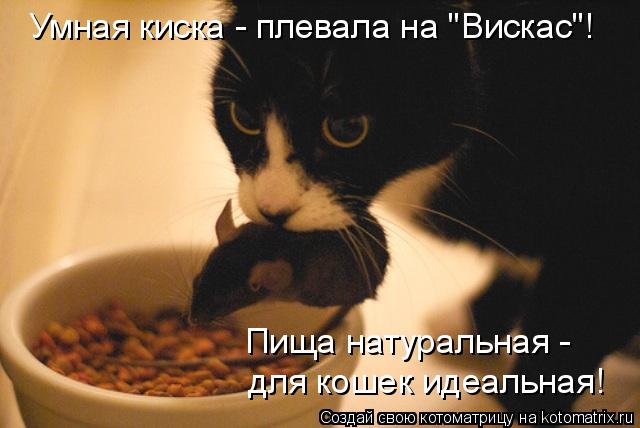 Котоматрица: Умная киска - плевала на "Вискас"! Пища натуральная -  для кошек идеальная!