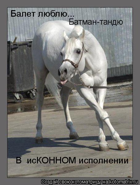 Котоматрица: Балет люблю... Батман-тандю В  исКОННОМ исполнении