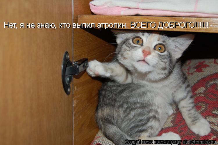 Котоматрица: Нет, я не знаю, кто выпил атропин. ВСЕГО ДОБРОГО!!!!!!