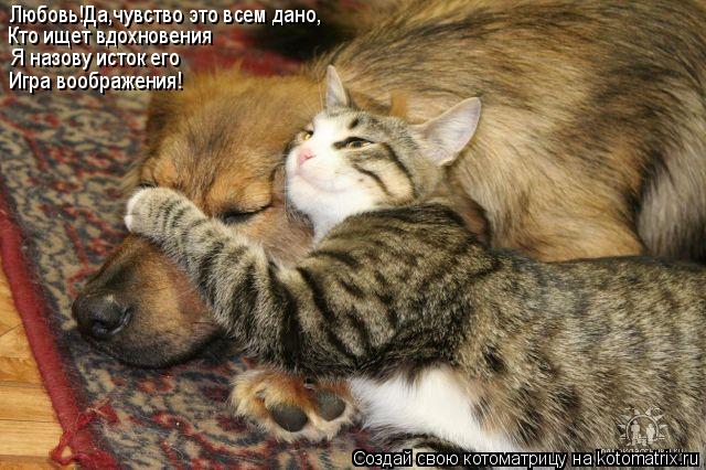 Котоматрица: Любовь!Да,чувство это всем дано, Кто ищет вдохновения Я назову исток его Игра воображения!