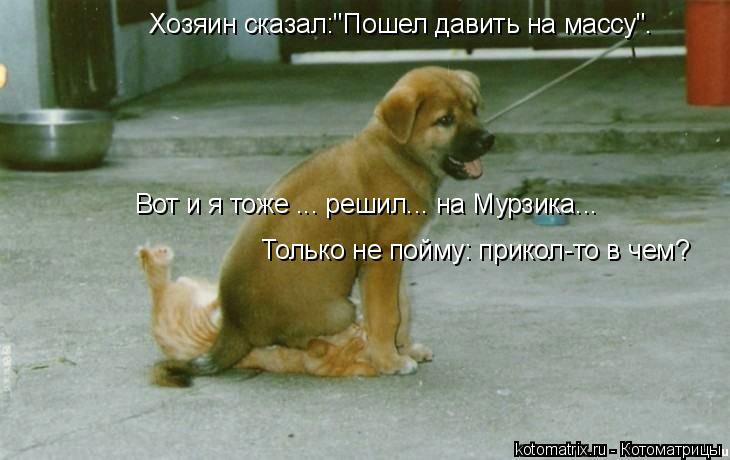 Котоматрица: Хозяин сказал:"Пошел давить на массу". Вот и я тоже ... решил... на Мурзика... Только не пойму: прикол-то в чем?