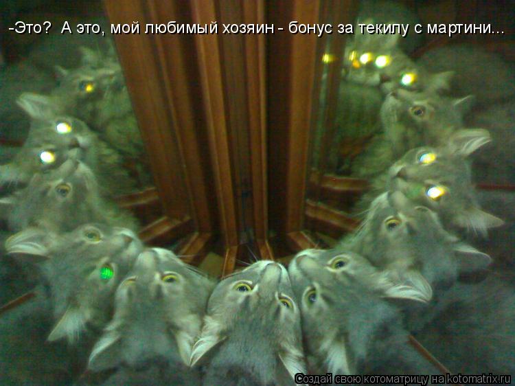 Котоматрица: -Это?  А это, мой любимый хозяин - бонус за текилу с мартини...