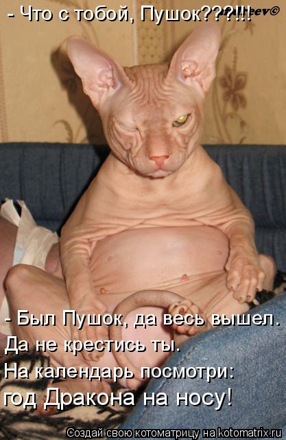 Котоматрица: - Что с тобой, Пушок???!!! - Был Пушок, да весь вышел. Да не крестись ты.  На календарь посмотри: год Дракона на носу!