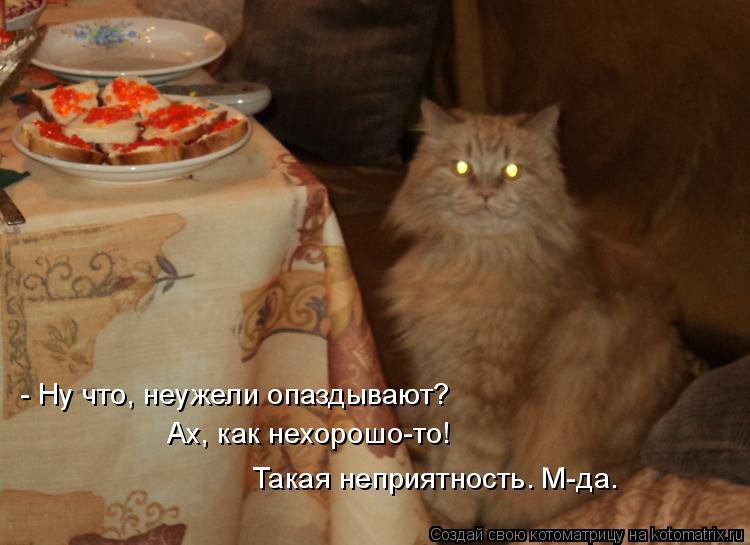 Котоматрица: - Ну что, неужели опаздывают? Ах, как нехорошо-то! Такая неприятность. М-да.