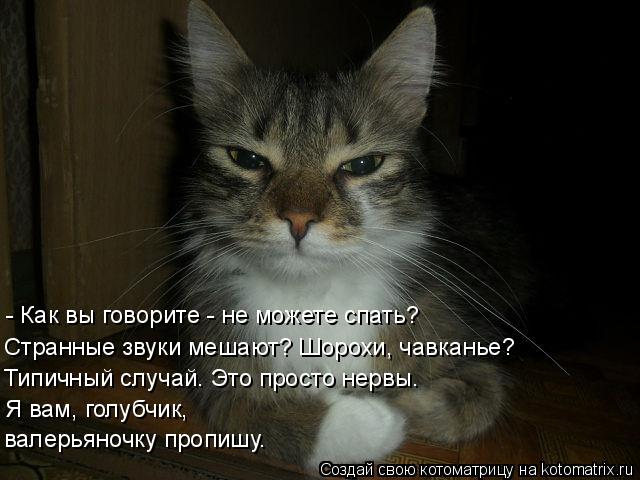 Котоматрица: - Как вы говорите - не можете спать? Странные звуки мешают? Шорохи, чавканье? Типичный случай. Это просто нервы. Я вам, голубчик, валерьяночку 