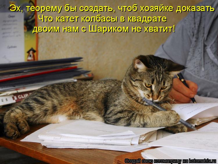 Эх, теорему бы создать, чтоб хозяйке доказать Что катет колбасы в квадрате двоим нам с Шариком не хв... Котоматрица: Эх, теорему бы создать, чтоб хозяйке доказать Что катет колбасы в квадрате двоим нам с Шариком не хватит!