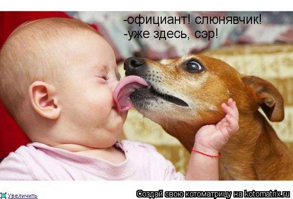 Котоматрица: -официант! слюнявчик! -уже здесь, сэр!