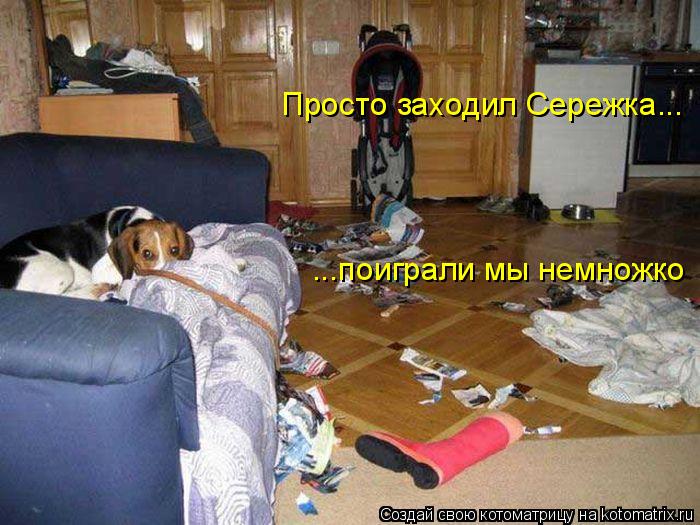Котоматрица: Просто заходил Сережка... ...поиграли мы немножко