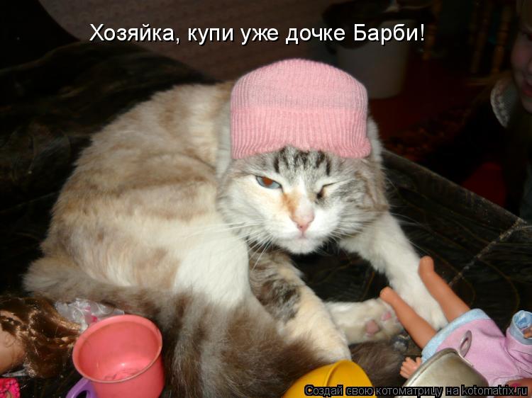 Котоматрица: Хозяйка, купи уже дочке Барби!