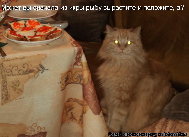 Котоматрица: Может вы сначала из икры рыбу вырастите и положите, а?