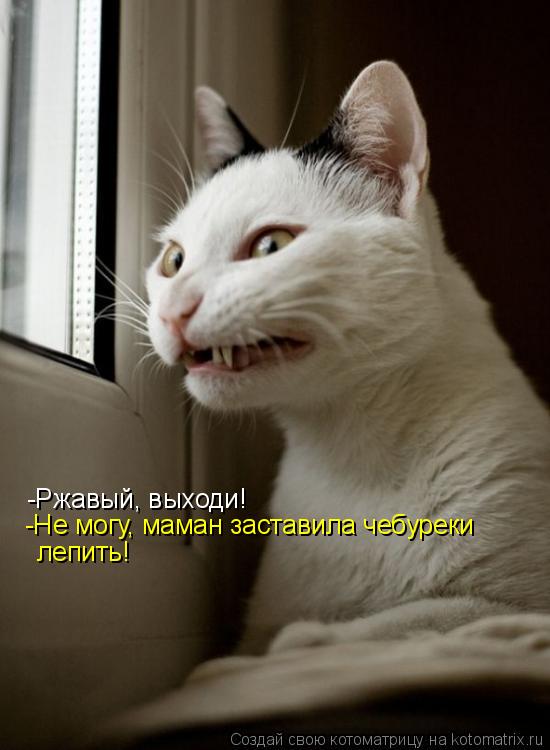 Котоматрица: -Ржавый, выходи! -Не могу, маман заставила чебуреки  лепить!