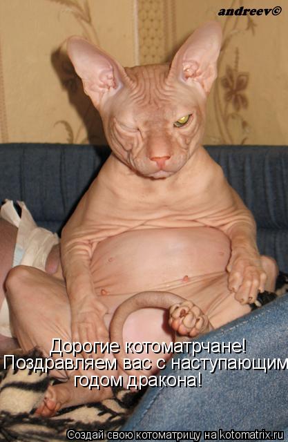Котоматрица: Дорогие котоматрчане! Поздравляем вас с наступающим годом дракона!