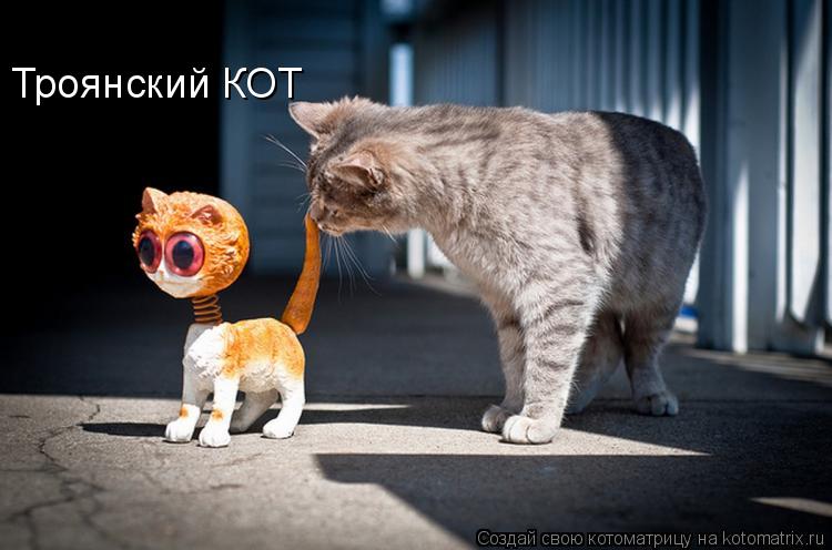 Котоматрица: Троянский КОТ