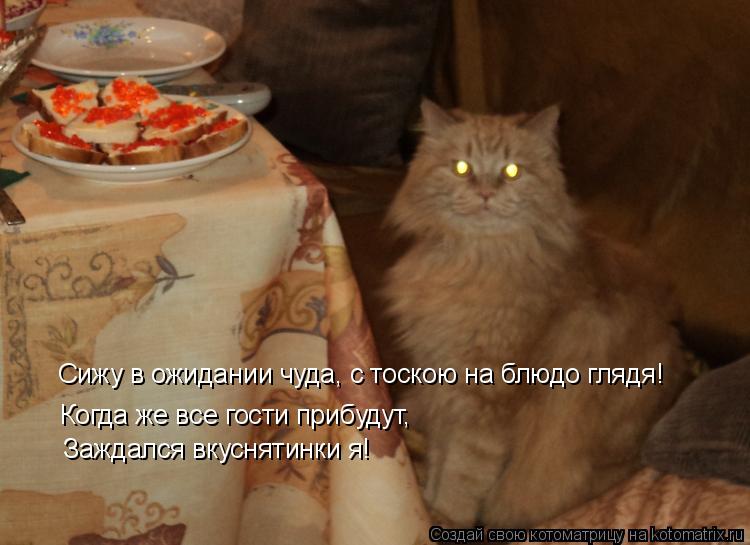 Котоматрица: Сижу в ожидании чуда, с тоскою на блюдо глядя! Когда же все гости прибудут,  Заждался вкуснятинки я!