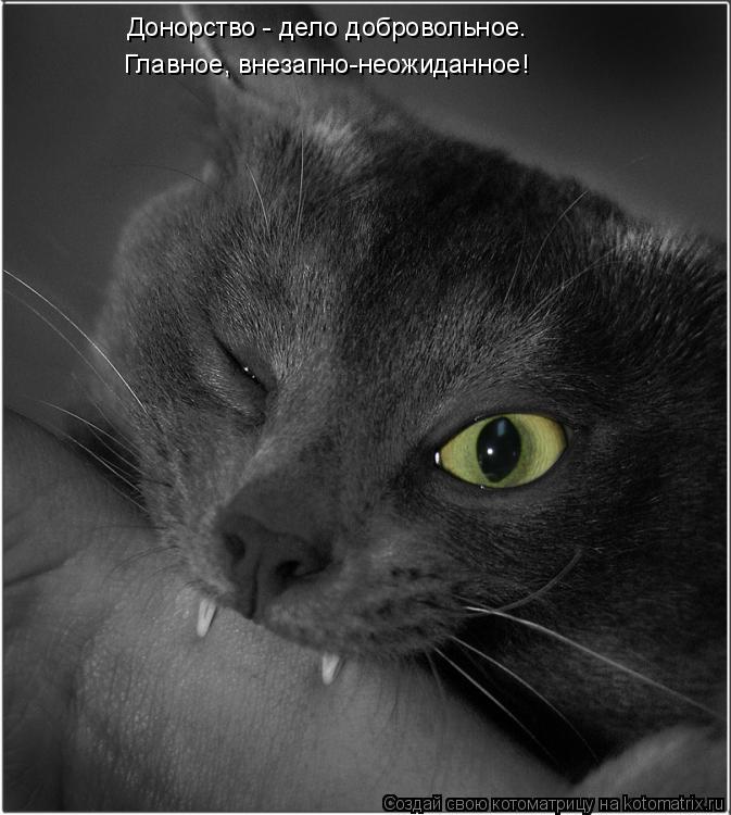 Котоматрица: Донорство - дело добровольное.  Главное, внезапно-неожиданное!