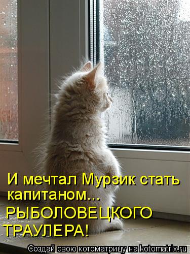 И мечтал Мурзик стать капитаном... РЫБОЛОВЕЦКОГО ТРАУЛЕРА!... Котоматрица: И мечтал Мурзик стать капитаном... РЫБОЛОВЕЦКОГО ТРАУЛЕРА!