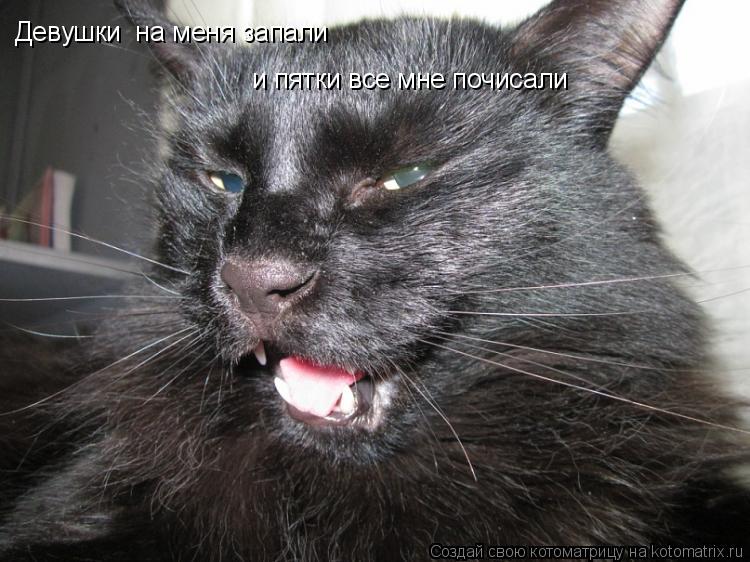 Котоматрица: Девушки  на меня запали и пятки все мне почисали