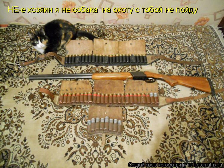 Котоматрица: НЕ-е хозяин я не собака  на охоту с тобой не пойду