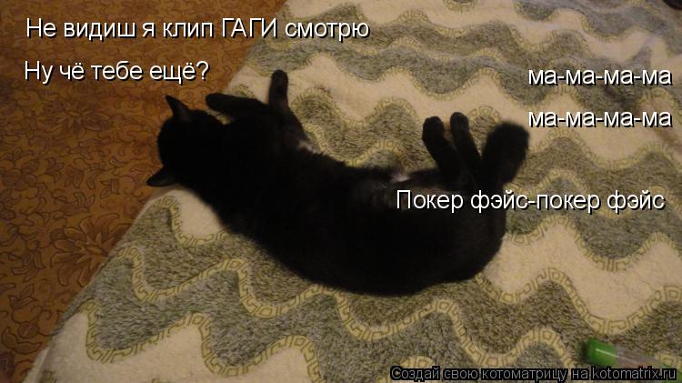 Котоматрица: Не видиш я клип ГАГИ смотрю Ну чё тебе ещё? Покер фэйс-покер фэйс ма-ма-ма-ма ма-ма-ма-ма