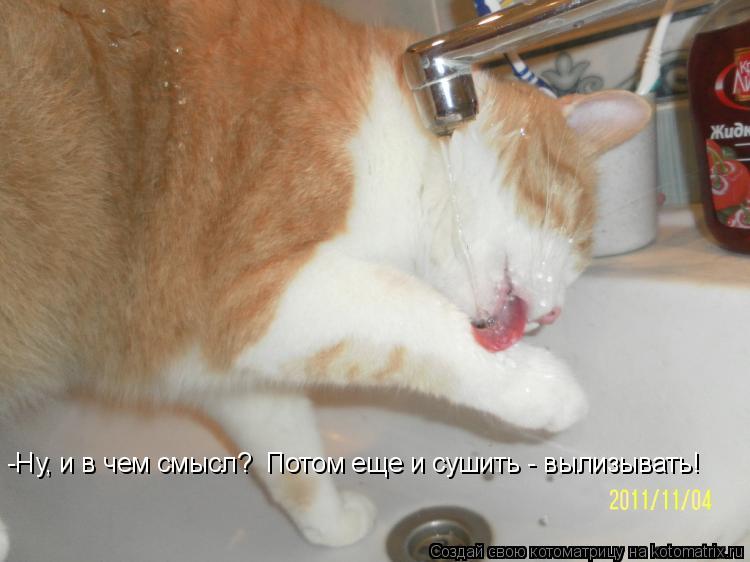 Котоматрица: -Ну, и в чем смысл?  Потом еще и сушить - вылизывать!