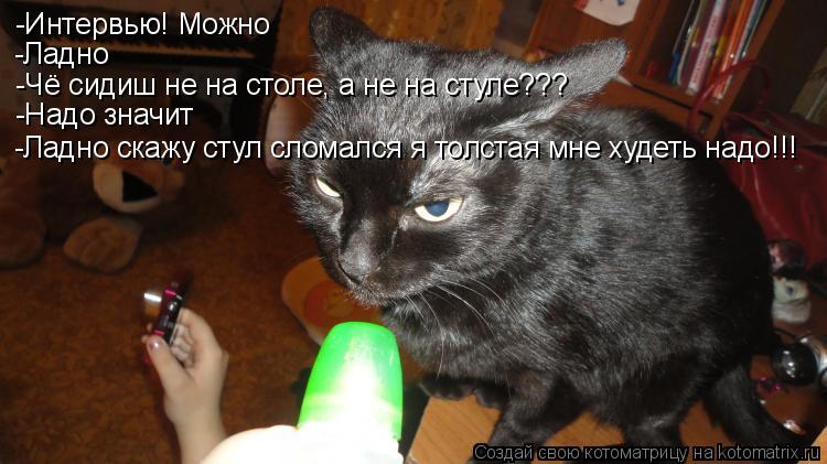 Котоматрица: -Интервью! Можно -Ладно -Чё сидиш не на столе, а не на стуле??? -Надо значит -Ладно скажу стул сломался я толстая мне худеть надо!!!