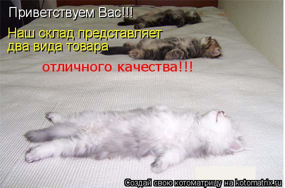 Котоматрица: Приветствуем Вас!!! Наш склад представляет два вида товара отличного качества!!!
