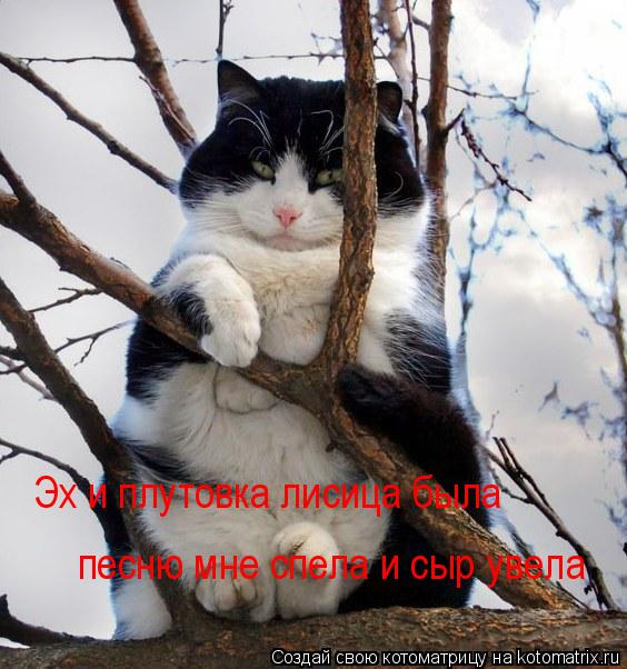 Котоматрица: Эх и плутовка лисица была песню мне cпела и сыр увела