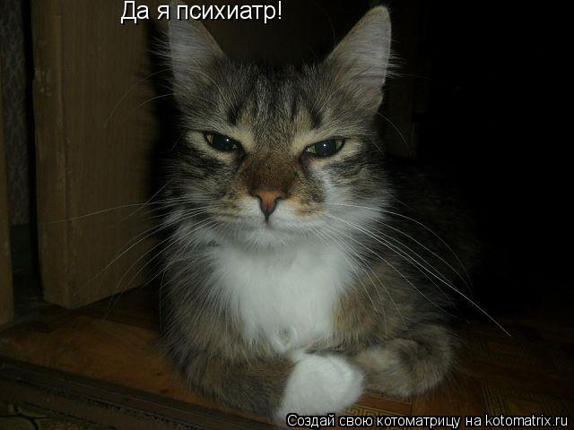 Котоматрица: Да я психиатр!