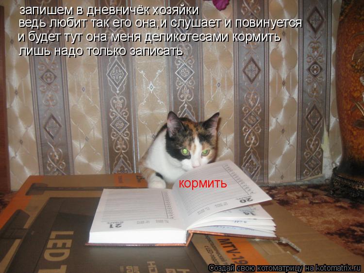 Котоматрица: запишем в дневничёк хозяйки ведь любит так его она,и слушает и повинуется и будет тут она меня деликотесами кормить лишь надо только записа