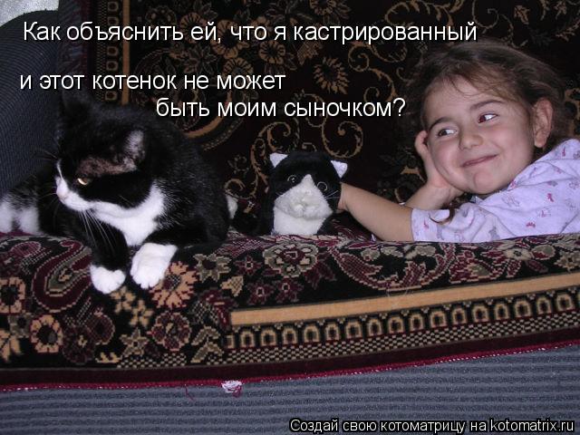 Котоматрица: и этот котенок не может  Как объяснить ей, что я кастрированный  быть моим сыночком?