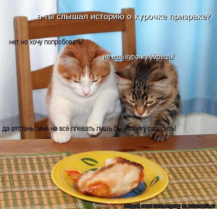 Котоматрица: а ты слышал историю о курочке призраке? нет,но хочу попробовать! не ешь курочку умрёшь! да отстань!,мне на всё плевать лишь бы хозяйку разори