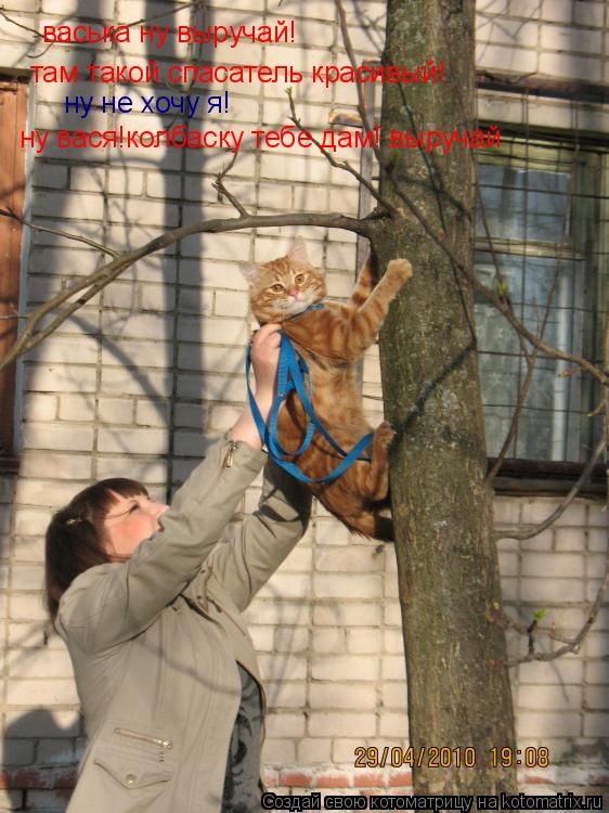 Котоматрица: васька ну выручай! там такой спасатель красивый! ну не хочу я! ну вася!колбаску тебе дам! выручай