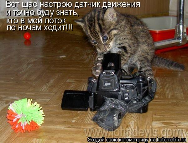 Котоматрица: Вот щас настрою датчик движения и точно буду знать,  кто в мой лоток по ночам ходит! кто в мой лоток  по ночам ходит!!!
