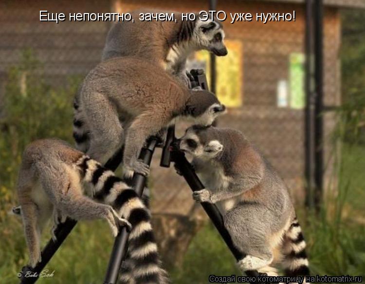 Котоматрица: Еще непонятно, зачем, но ЭТО уже нужно!