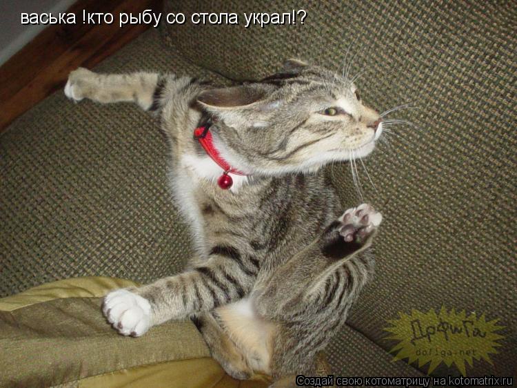 Котоматрица: васька !кто рыбу со стола украл!?