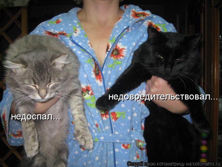 недоспал... недовредительствовал...... Котоматрица: недоспал... недовредительствовал...