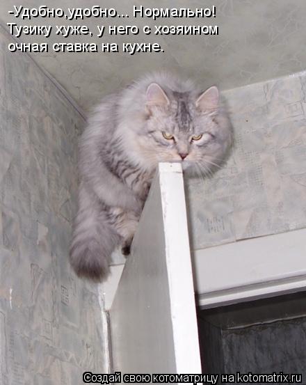 -Удобно,удобно... Нормально! Тузику хуже, у него с хозяином очная ставка на кухне.... Котоматрица: -Удобно,удобно... Нормально! Тузику хуже, у него с хозяином очная ставка на кухне.