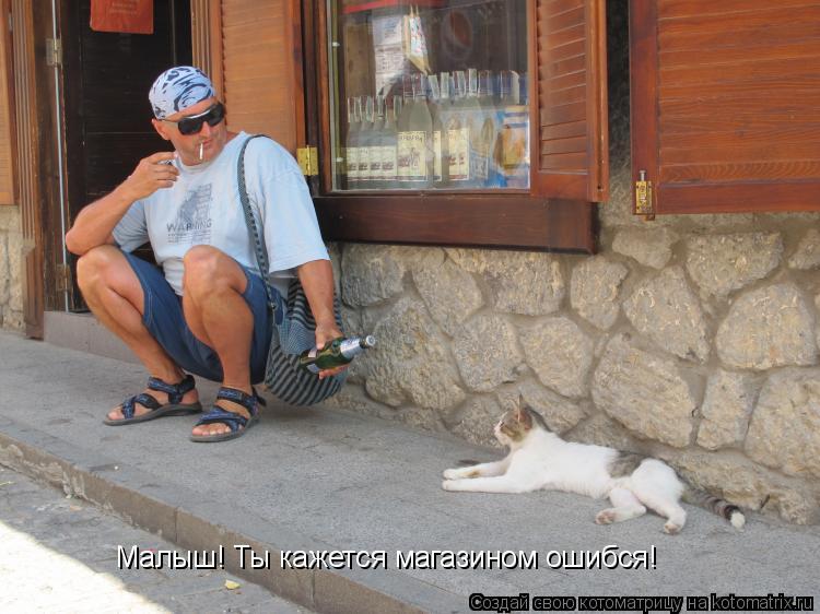 Малыш! Ты кажется магазином ошибся!... Котоматрица: Малыш! Ты кажется магазином ошибся!