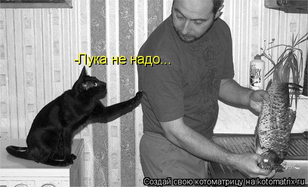 -Лука не надо...... Котоматрица: -Лука не надо...