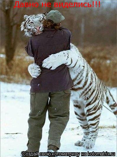 Давно не виделись!!!... Котоматрица: Давно не виделись!!!