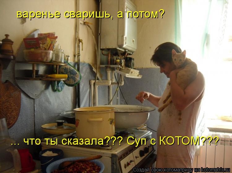 варенье сваришь, а потом? ... что ты сказала??? Суп с КОТОМ???... Котоматрица: варенье сваришь, а потом? ... что ты сказала??? Суп с КОТОМ???