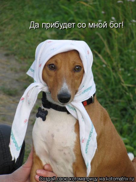 Да прибудет со мной бог!... Котоматрица: Да прибудет со мной бог!