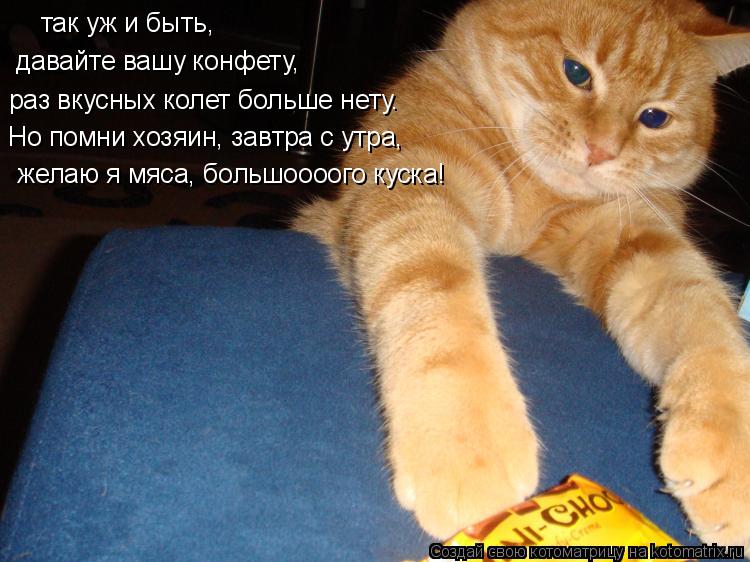 Котоматрица: так уж и быть, давайте вашу конфету, раз вкусных колет больше нету. Но помни хозяин, завтра с утра,  желаю я мяса, большоооого куска!