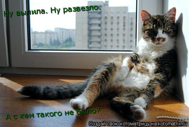Ну выпила. Ну развезло. А с кем такого не было?... Котоматрица: Ну выпила. Ну развезло. А с кем такого не было?
