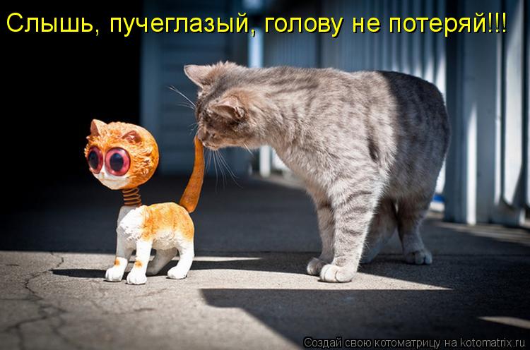 Слышь, пучеглазый, голову не потеряй!!!... Котоматрица: Слышь, пучеглазый, голову не потеряй!!!